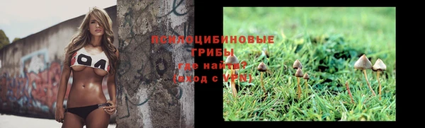 прущие крисы Алзамай