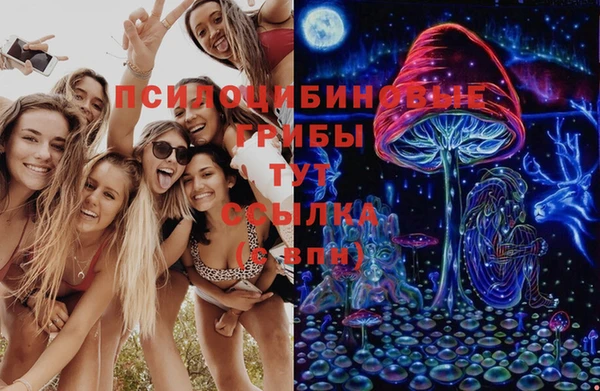 мескалин Алексин