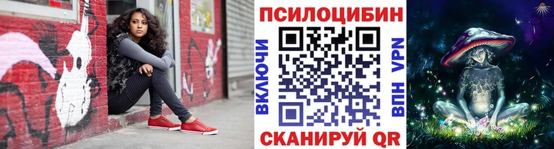 ссылка на мегу Опочка Псилоцибиновые грибы мицелий где купить наркотик